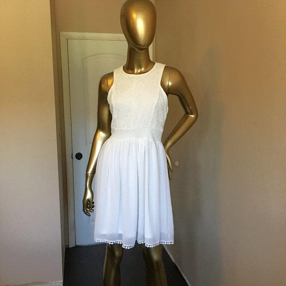 FRANCESCA'S Lace and Chiffon Skater Dress - Picture 2 of 10